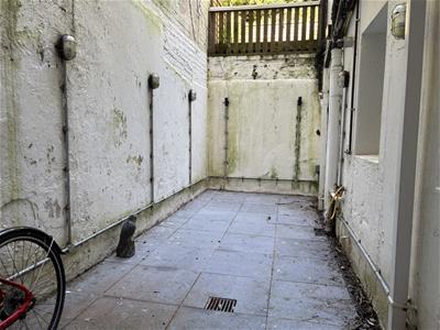 Courtyard garden